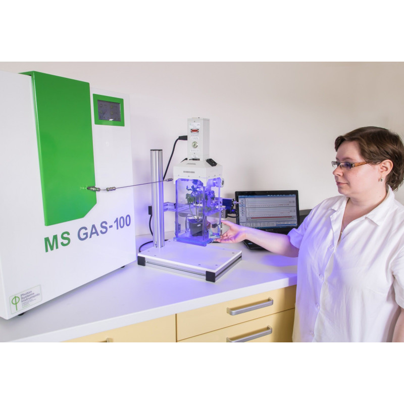 MS GAS Mass Spectrometer