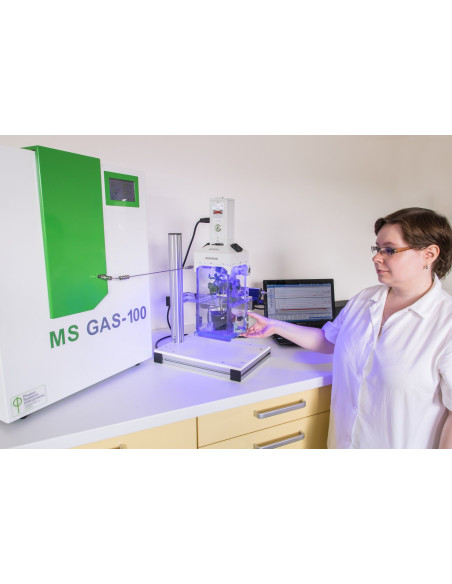 MS GAS Mass Spectrometer