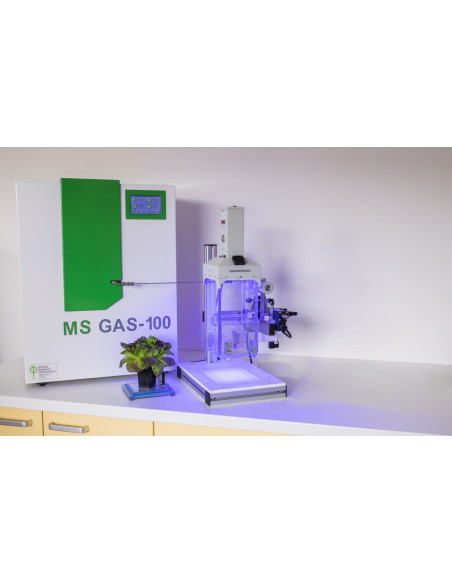 MS GAS Mass Spectrometer