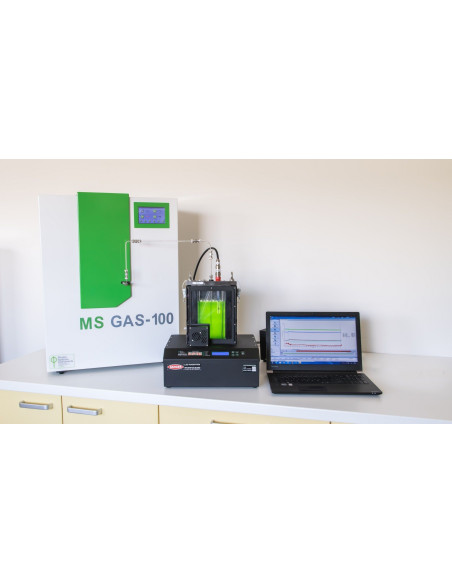 MS GAS Mass Spectrometer