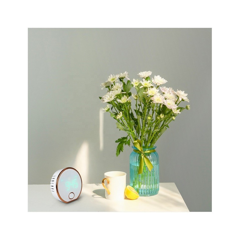 AO-HT-401 Detector de Dióxido de Carbono