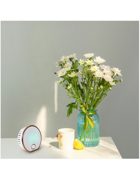 AO-HT-401 Carbon Dioxide Detector