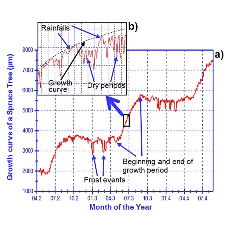 DC1 Circumference Dendrometer