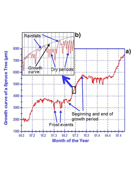 DC1 Dendrômetro de Circunferência