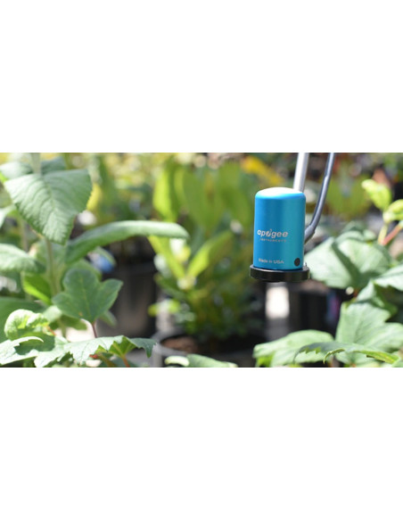 SQ-500-SS Sensor quântico de espectro total