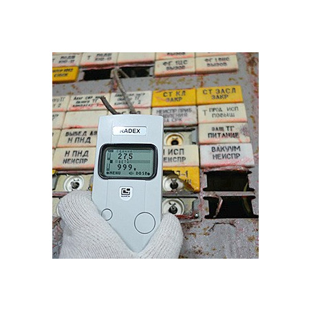 RADEX RD1008 Detector de radiación - Contador Geiger profesional de alta precisión