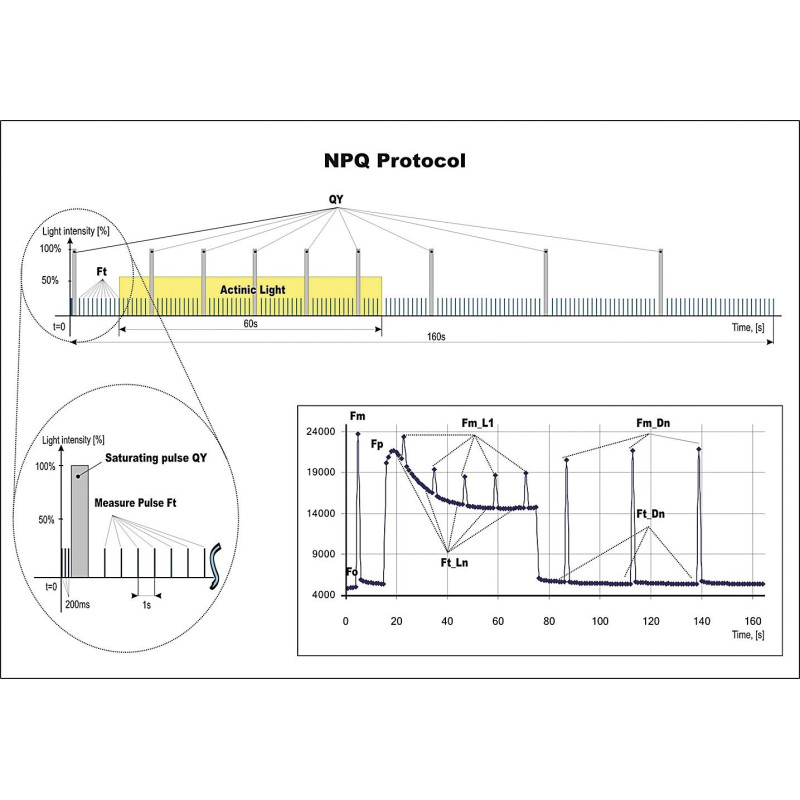 Double-Modulation Fluorometer FL 6000