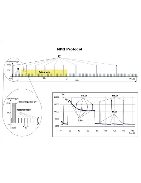 Fluorómetro de doble modulación para medida de clorofila y ﬂuorescencia (FL 6000)
