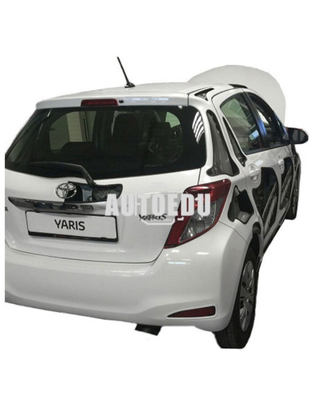 Vehículo funcional AE FV