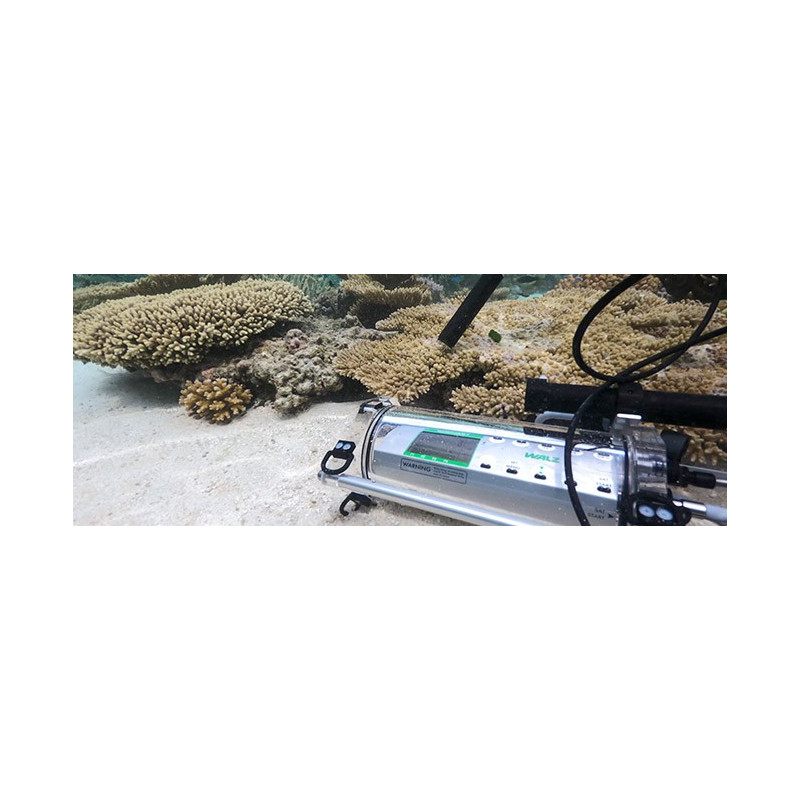 DIVING-PAM-II con Espectrómetro Miniatura MINI-SPEC