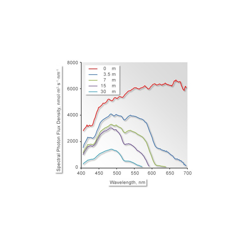DIVING-PAM-II com Espectrômetro Miniatura MINI-SPEC
