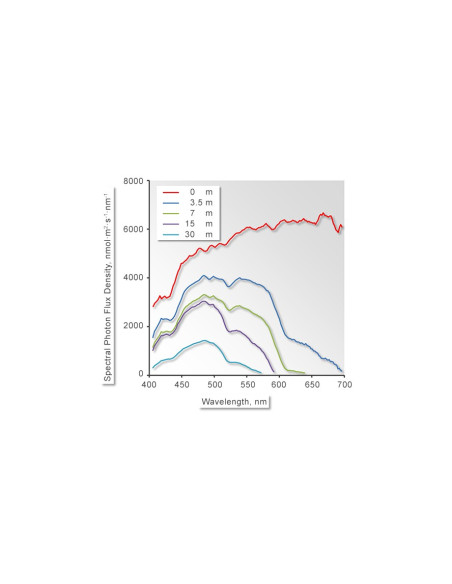 DIVING-PAM-II com Espectrômetro Miniatura MINI-SPEC