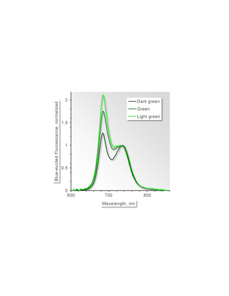 DIVING-PAM-II com Espectrômetro Miniatura MINI-SPEC