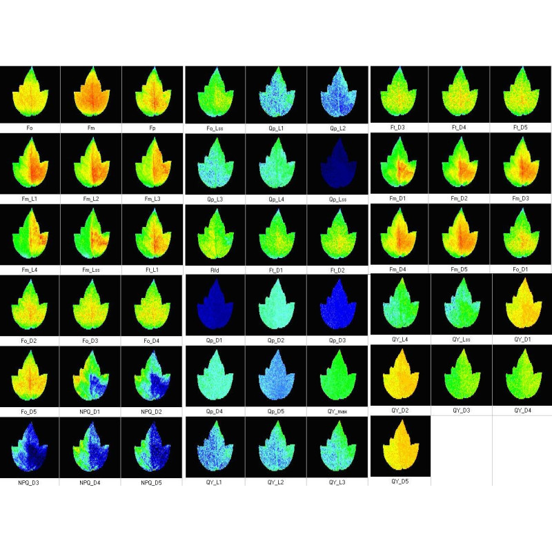Open FluorCam FC 800-O/1010