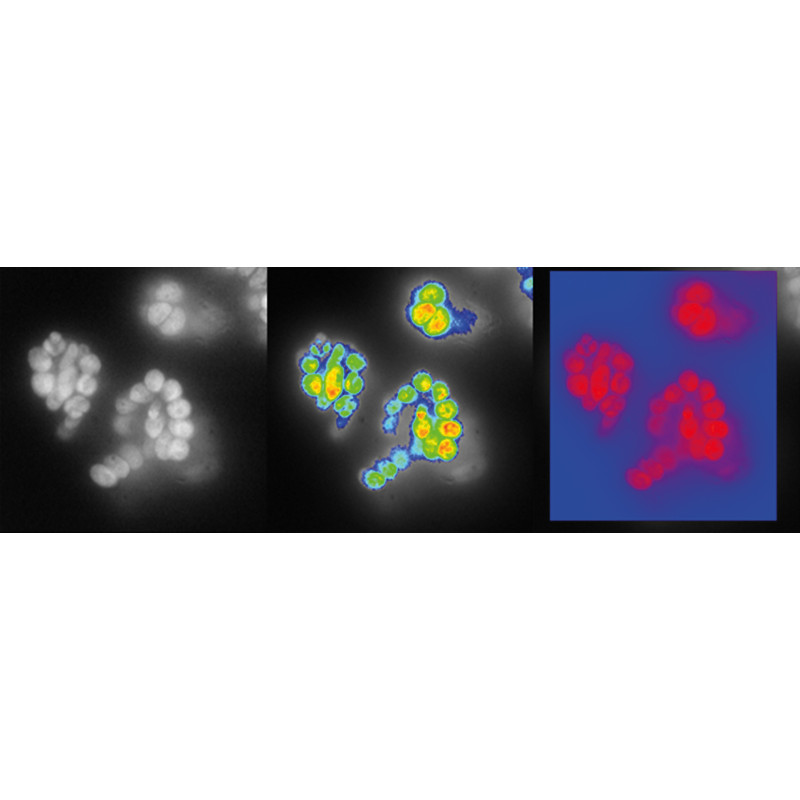 Fluorescence Kinetic Microscope FC 2000-Z (FKM)