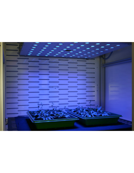 Customized FluorCams