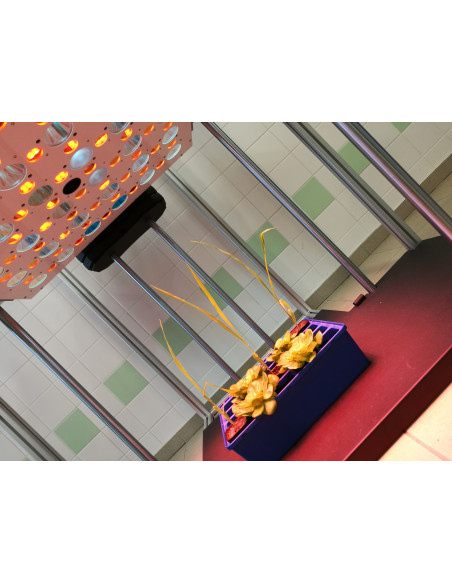 Customized FluorCams