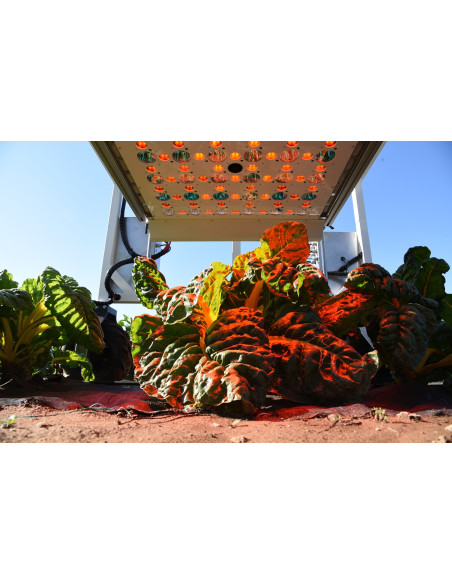 Customized FluorCams