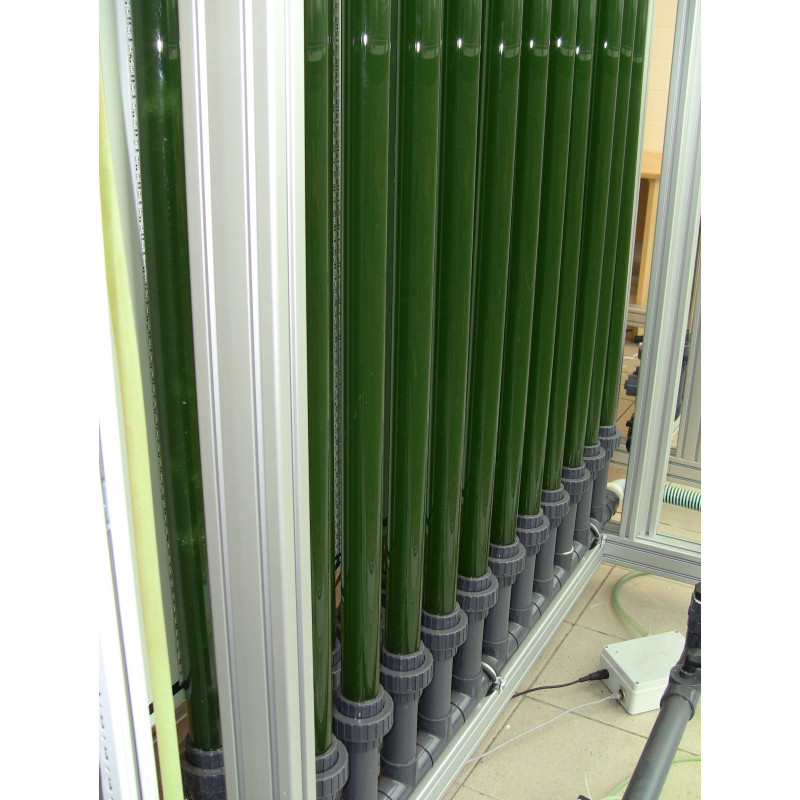 Fotobiorreatores de grande escala (volume de 25 l ou 100 l)