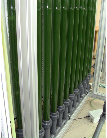 Fotobiorreatores de grande escala (volume de 25 l ou 100 l)