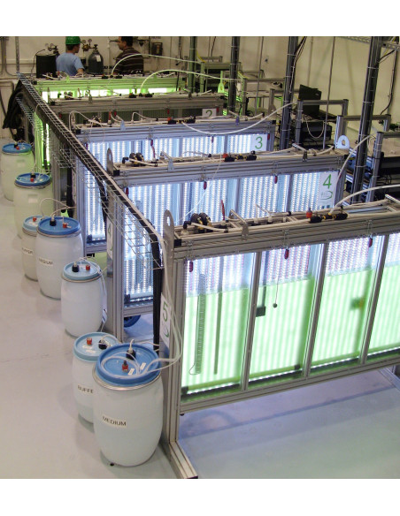 Fotobiorreatores de grande escala (volume de 25 l ou 100 l)