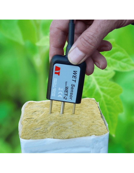 WET Sensor in substrate block