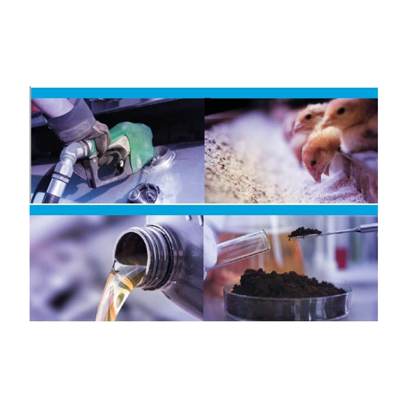 Analisador Elementar EDXRF de excitação monocromática RGK-NEXCG-II