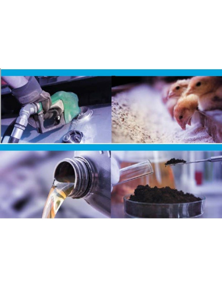 Analisador Elementar EDXRF de excitação monocromática RGK-NEXCG-II