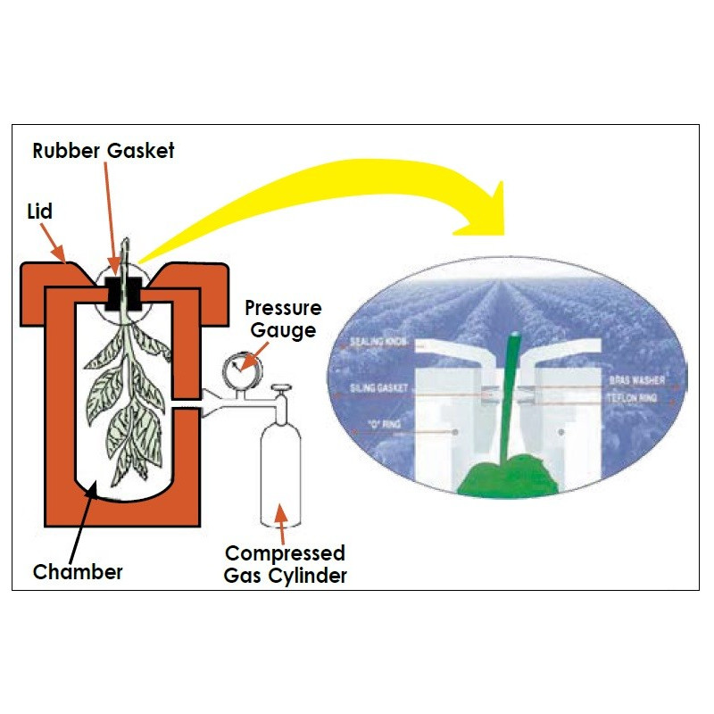 ARIMAD-3000 Um instrumento para medir o potencial de água das plantas