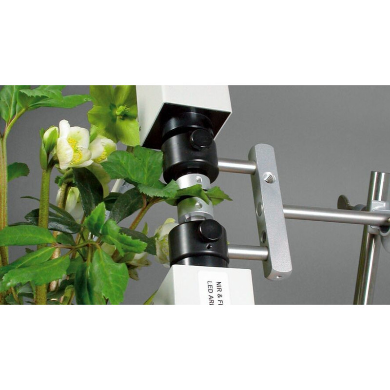 Sistema de Fluorescencia de Clorofila & P700