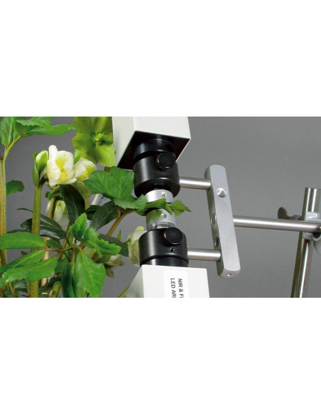 Sistema de Fluorescencia de Clorofila & P700