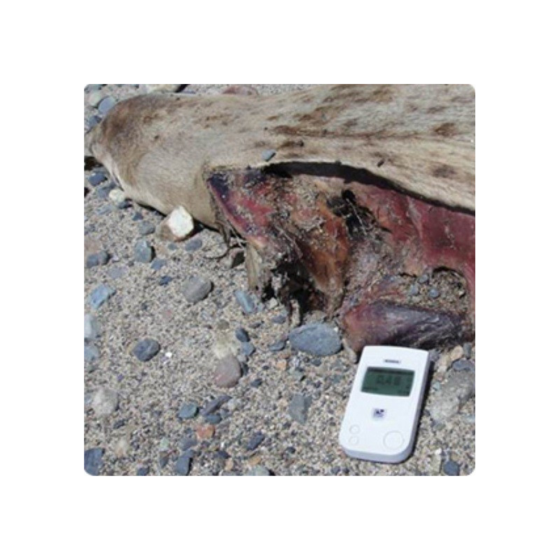 Radiation Detector (0,05 ... 999 µSv/h)