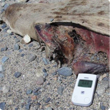 Radiation Detector (0,05 ... 999 µSv/h)