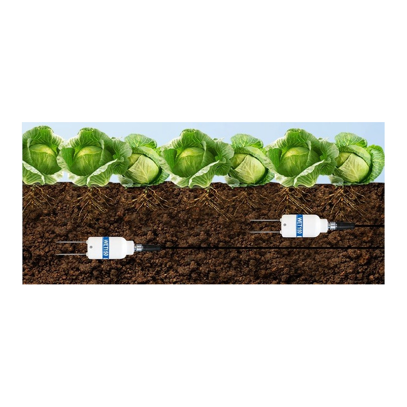 Kit WET150 Sensor para Humedad y Salinidad en suelos y sustratos