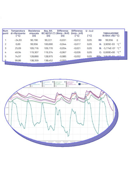 Informe de calibración del registrador de datos WSD12T-Ex6