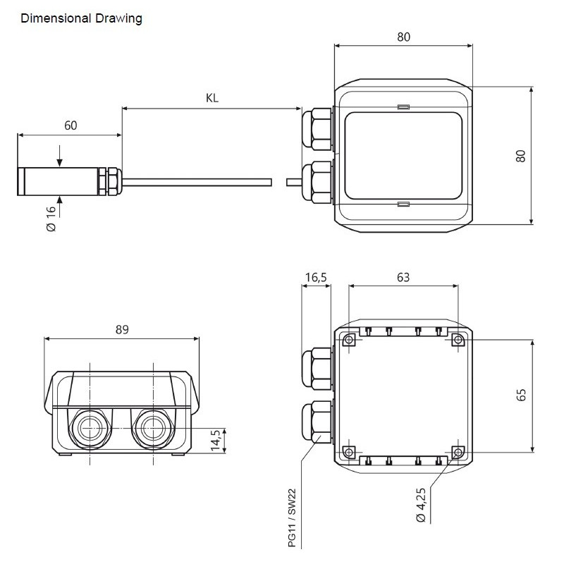 Buy Temperature &Humidity Transducer with External Probe AO-RRFT
