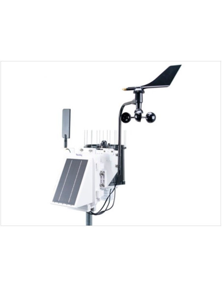 3250ET Estação sem fio Watchdog