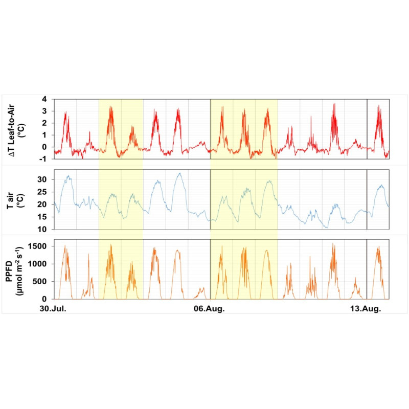 LAT-B3 Leaf Temperature Sensors