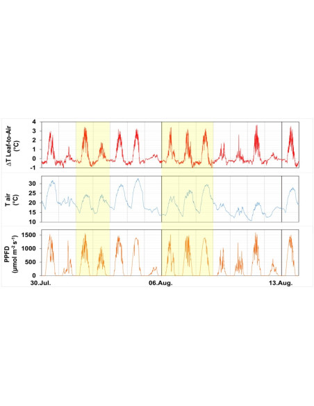 LAT-B3 Sensores de Temperatura de Hoja