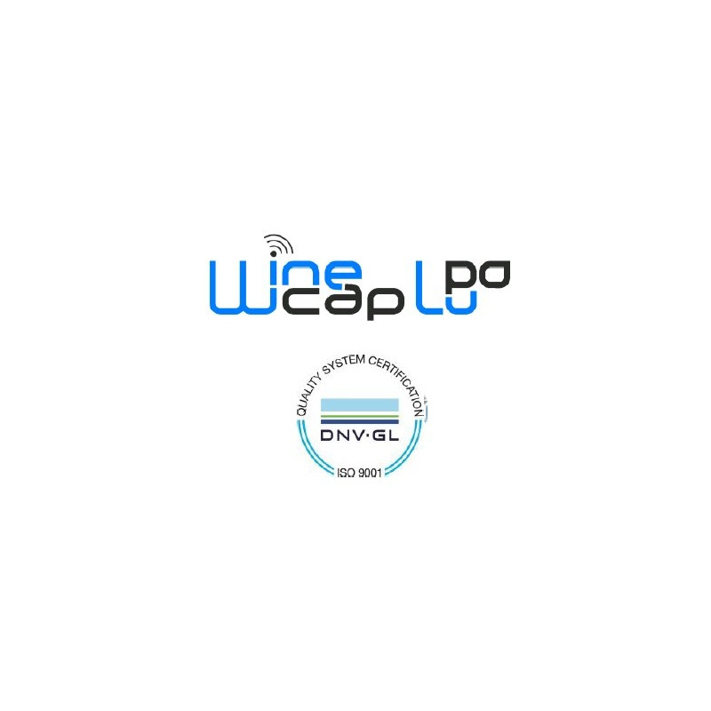 Capetti WSD15IIDIST 4 channels Wireless Smart Datalogger - automatic autoscale MEMS clinometer (1°-15°)
