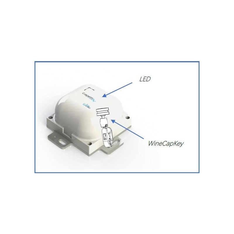 Capetti WSD10TII Datalogger inteligente sem fio de 3 canais