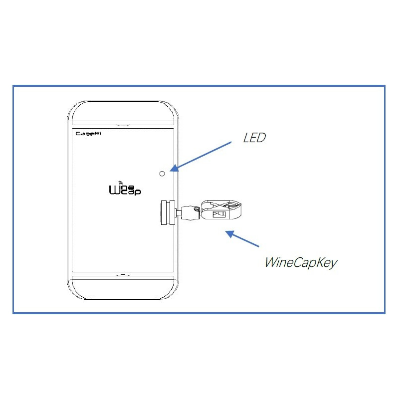 WSD12PS-4AIMx 4-Channel Data Logger with power supply generation for +12/24Vdc @100mA transducers