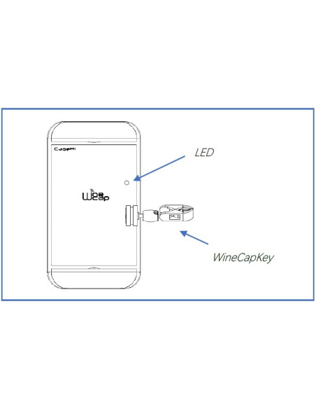 WSD12PS-4AIMx Registrador de Datos de 4 canales con fuente de alimentación de +12/24Vdc @100mA para transductores