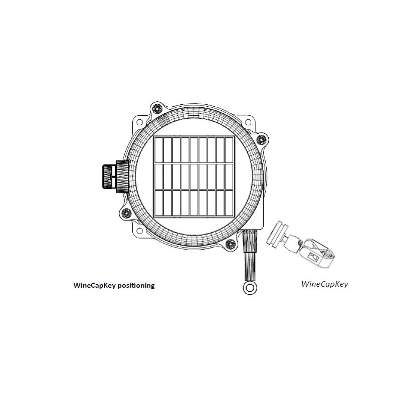 Capetti WSD10DGII Data Logger Inalámbrico 4 canales para deformación lineal, inclinación y acelerómetro