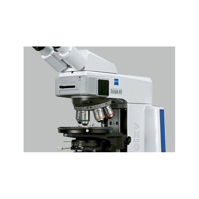 MICROSCOPY-PAM: Modified Zeiss microscope and PAM-CONTROL interface