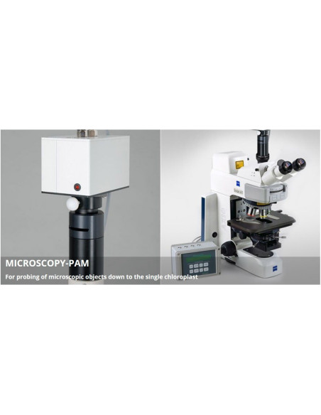 MICROSCOPY-PAM: Modified Zeiss microscope and PAM-CONTROL interface