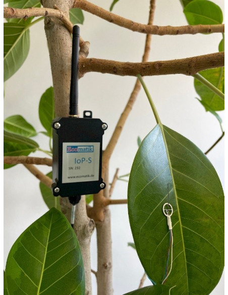 Ecomatik IoP Measurement Systems