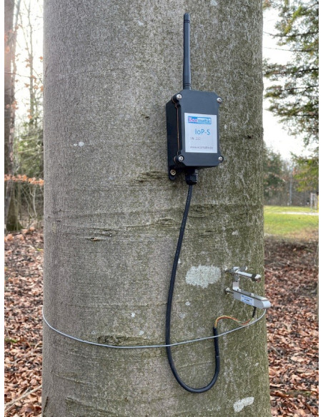 Ecomatik IoP Measurement Systems