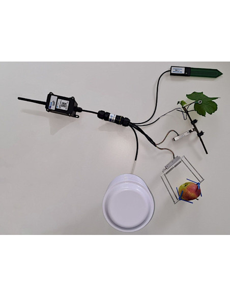 Ecomatik IoP Measurement Systems