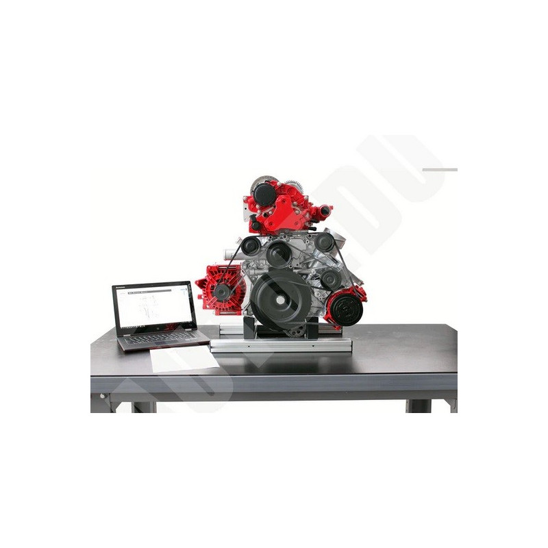 IVDD-CR02 Modelo Seccionado do Motor Diesel Comum do Trilho de DOHC